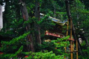 Area Dei Templi E Dei Santuari | Cosa fare e vedere a Nikko