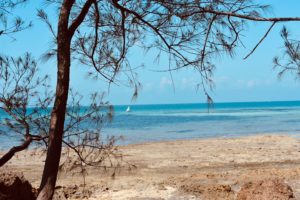 Cosa fare e vedere a Zanzibar: Prison Island
