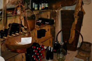Cantina "Terre di Gnirega" Valpolicella | Cosa vedere a Verona e dintorni