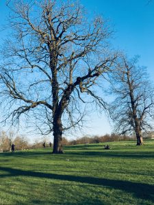 Hyde Park | Cosa vedere a Londra