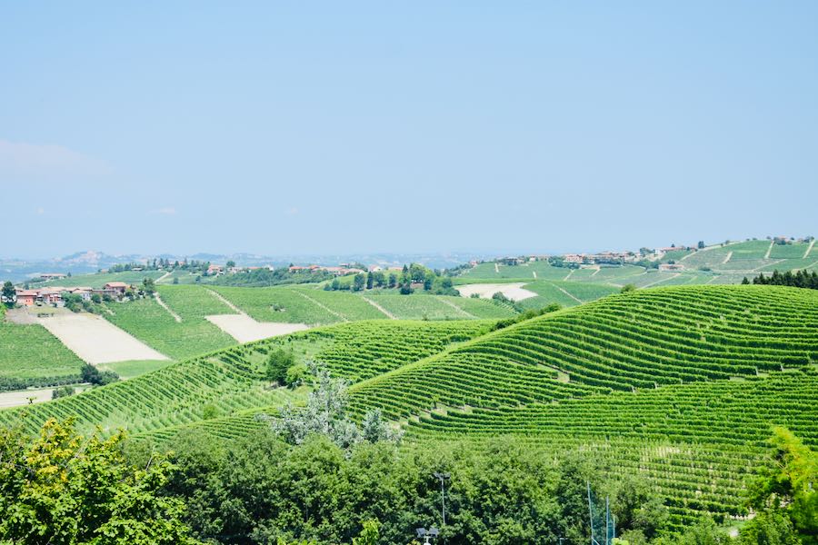 Belvedere Neive