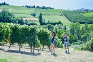 Vigne - Coazzolo | Langhe e Monferrato