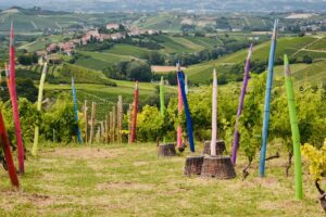 Vigna dei Pastelli - Coazzolo | Langhe e Monferrato
