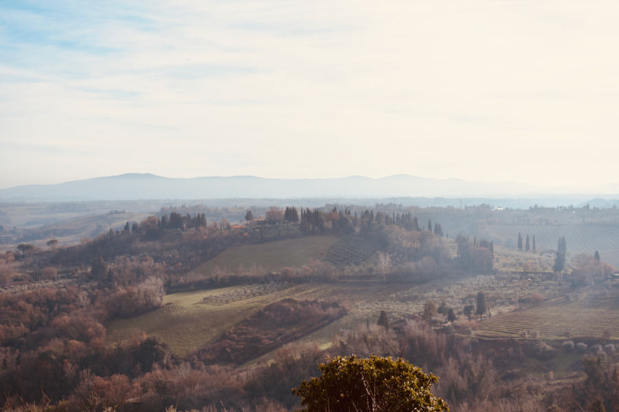 Cosa Vedere A San Gimignano | Panorama