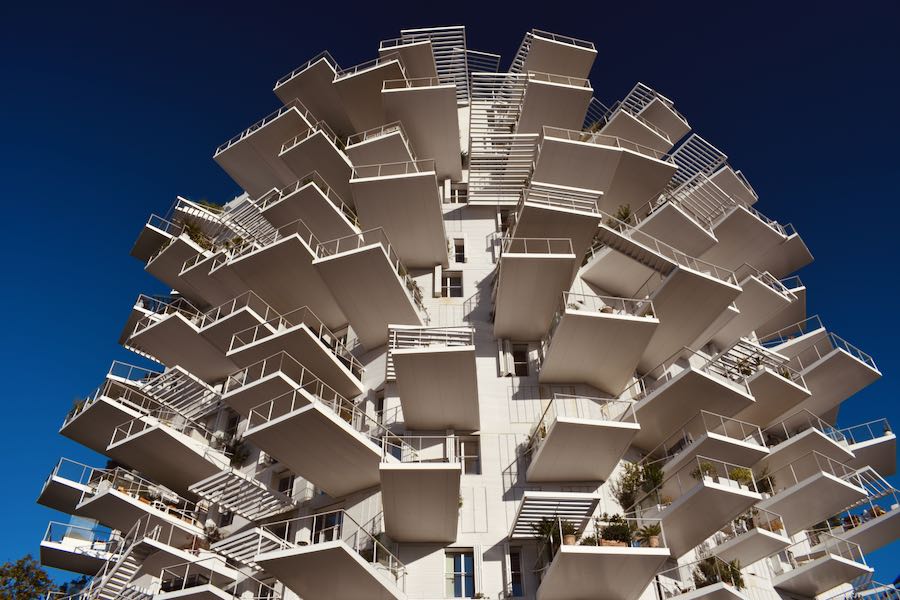 Montpellier | Quartier Antigone Arbre Blanc