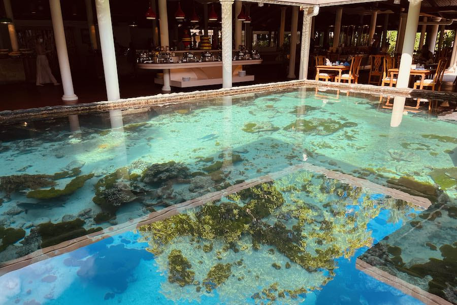 Maldive Royal Island Resort Spa | Ristorante