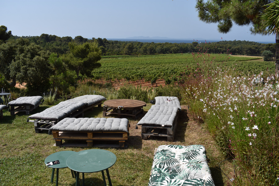 Cosa Fare A Bormes-les-Mimosas | Wine Experience