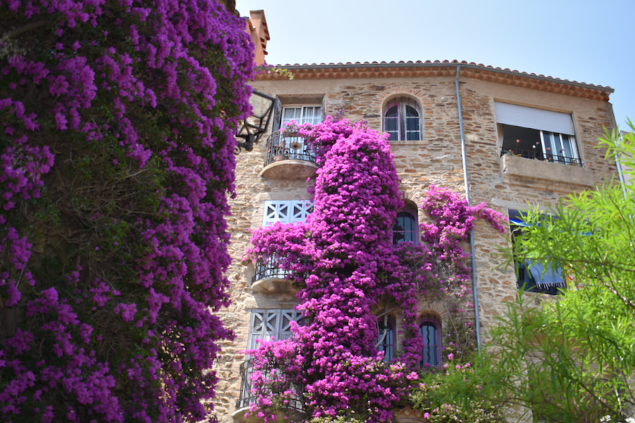 Visitare Bormes-les-Mimosas | Rue des Bougainvilliers