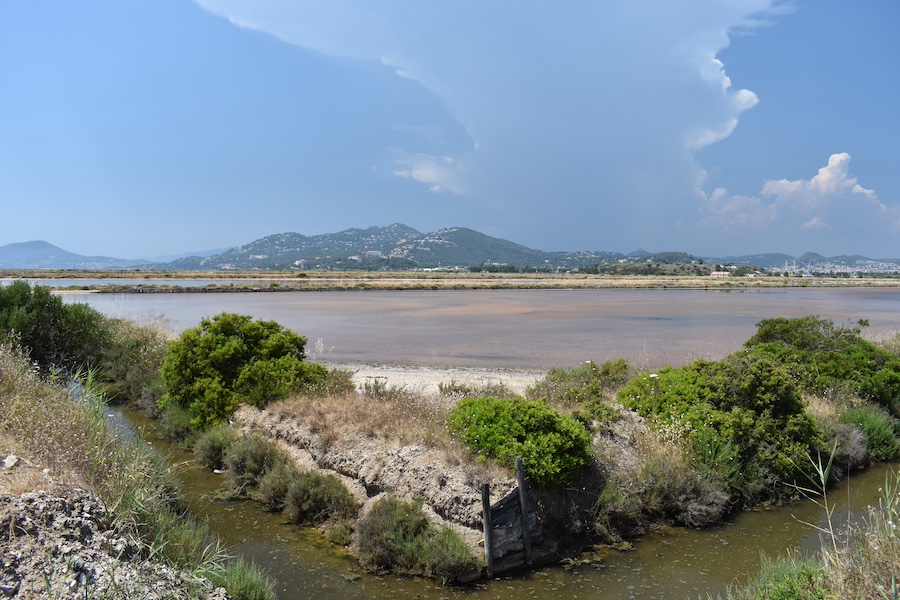 Cosa Vedere A Hyères | Le Salin Des Pesquiers
