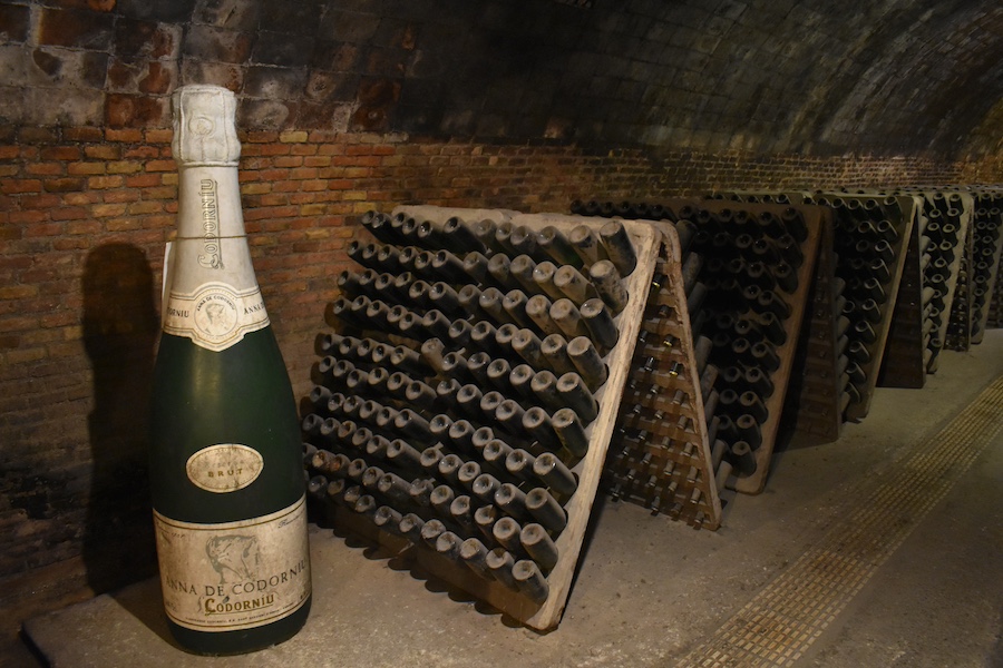 Degustazione Cava Catalogna | Caves Codorníu