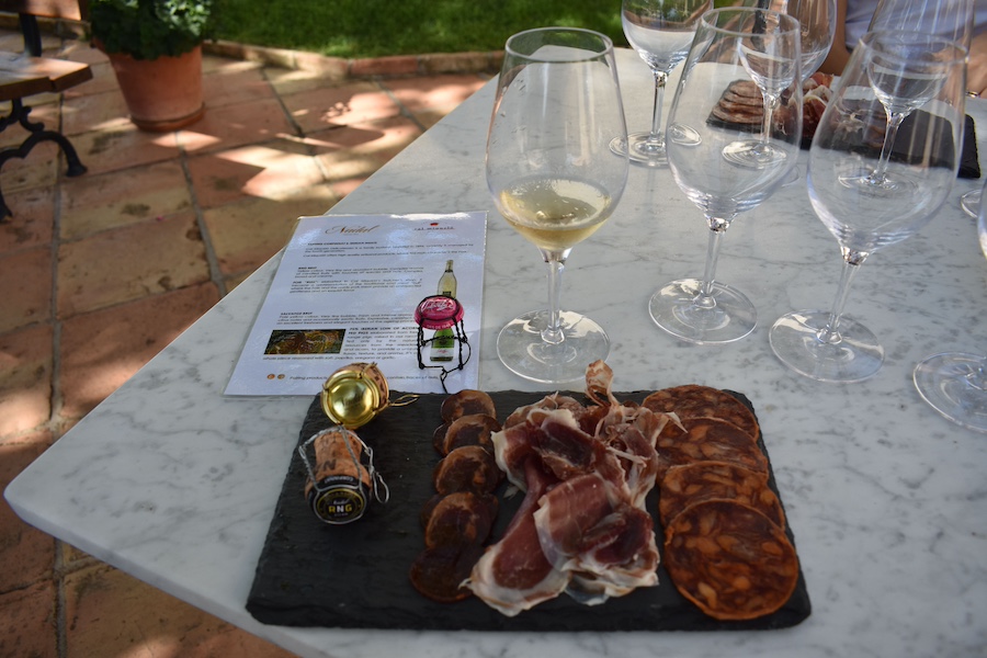 Degustazione Corpinnat Penedés | Caves Nadal