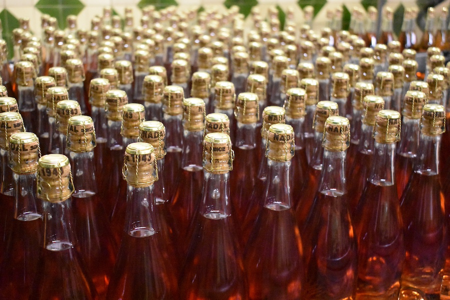 Degustazione Vini Penedès | Caves Nadal