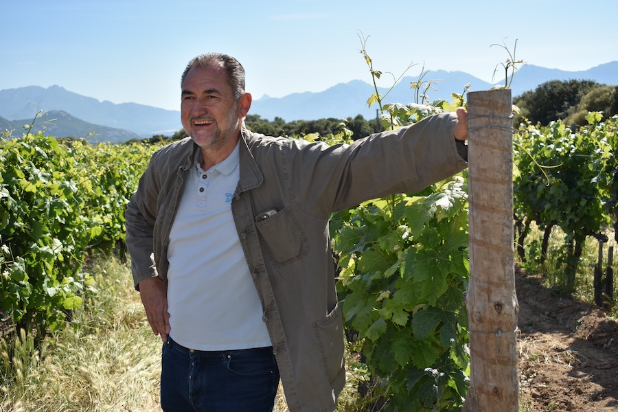 Corsica Del Nord | Etienne Suzzoni Clos Culombu