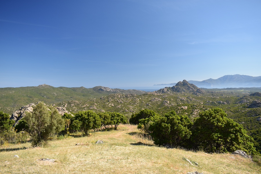 Cosa Vedere Nord Della Corsica | Désert Des Agriates