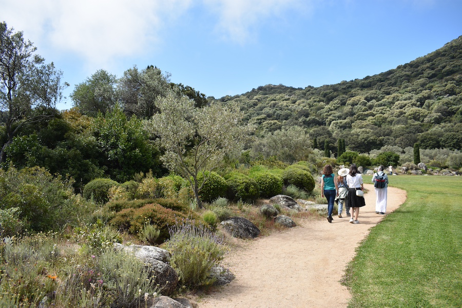 Cosa Vedere Nel Nord Della Corsica | Parc De Saleccia