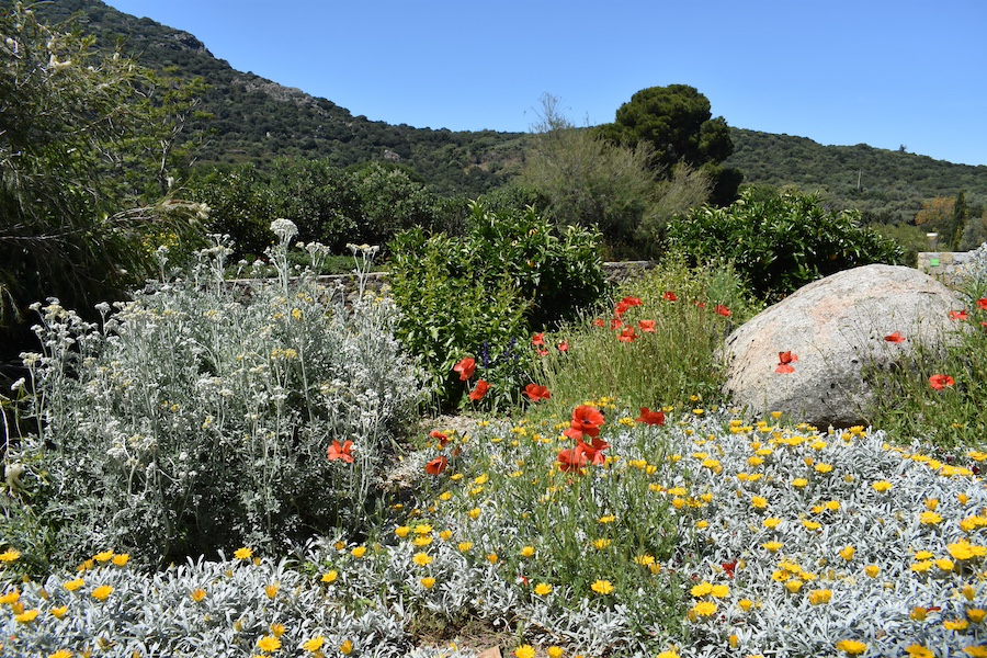 Viaggio 3 Giorni Nord Della Corsica | Parc De Saleccia