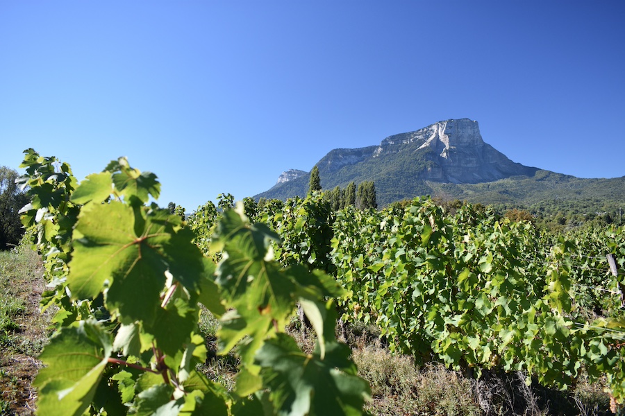 Cosa vedere dintorni Chambéry | Mont Granier